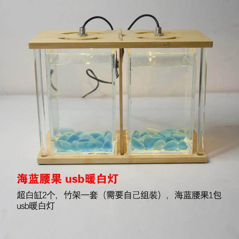 鱼专用缸双缸办公室客厅宿舍桌面超白小型生态微景超白玻璃小缸