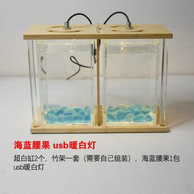 鱼专用缸生态办公室宿舍客厅桌面超白小型双缸微景超白玻璃小缸