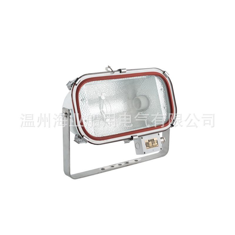 船用不锈钢卤钨防水泛光工作甲板投光灯TG4500W/1000WJTT光源