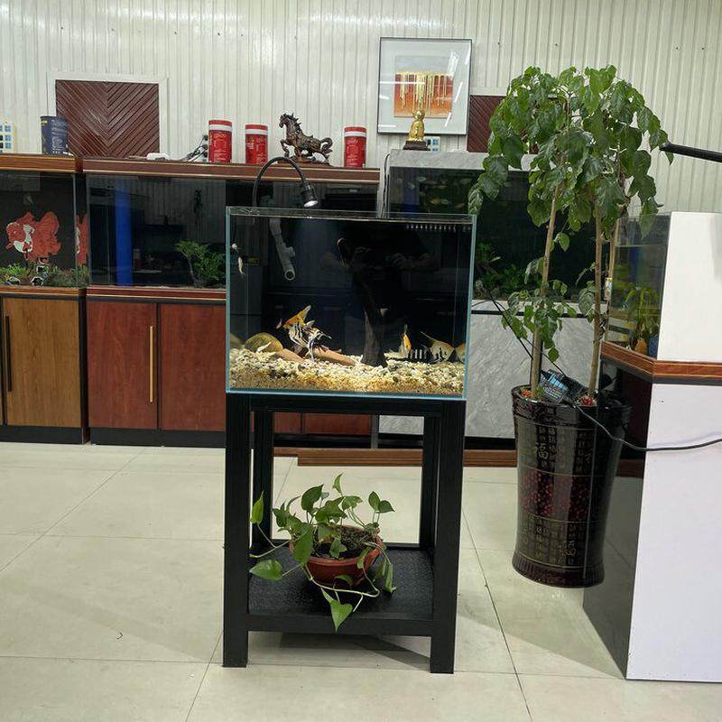 小型金鱼缸溪流缸超白玻璃鱼缸家用屏风生态免换水水族箱客厅落地
