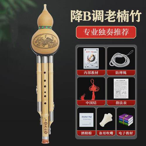 紫竹葫芦丝c调小学生用专业演奏型儿童降b调胡防摔初学者芦丝乐器