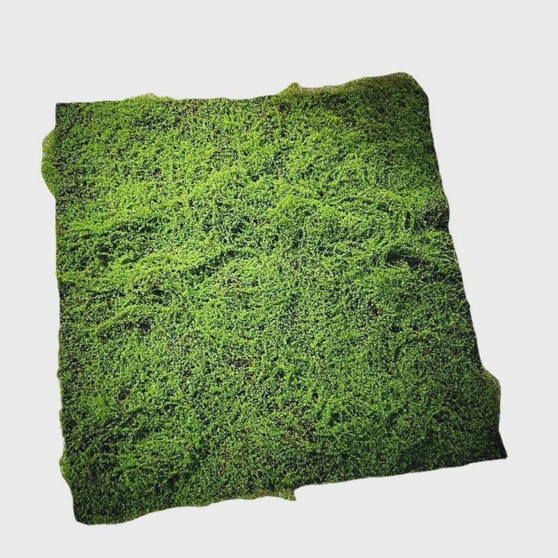 人造草坪仿真苔藓草坪轻奢假绿地造景草坪打底配件青苔植物墙装饰