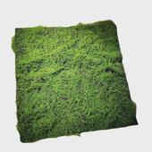 轻奢仿真苔藓草坪人造草坪假绿地造景草坪打底配件青苔植物墙装 饰
