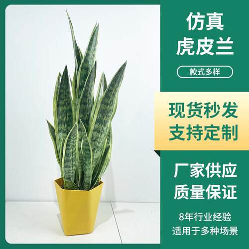 室内仿真绿植金边虎皮兰盆栽北欧客厅造景花卉道具假绿植落地装饰