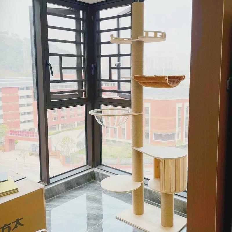 顶天立地猫爬架通天柱小户型不占地是猫窝猫树一体架攀猫猫抓柱