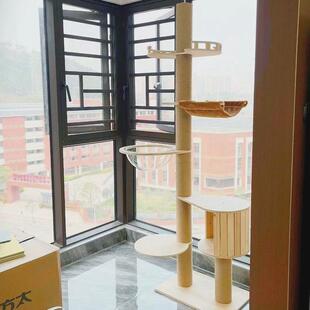 顶天立地猫爬架通天柱小户型不占地是猫窝猫树一体猫攀架猫抓柱