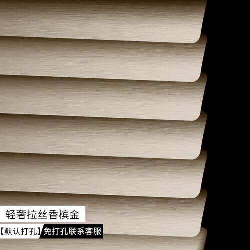 百叶窗帘遮光升降卷帘上下拉帘卷窗帘免打孔手拉办公室遮光帘防窥