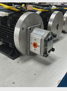 Y90Y100Y112直流无刷油泵电动机液压泵电动机永磁无刷电机