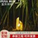 led发光创意竹子灯室外田园草坪灯景观灯装 饰灯公园亮化花园别墅