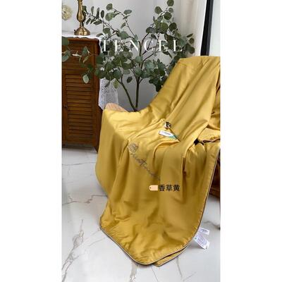 100支兰精天丝夏凉被床笠四件套纯色子夏空调被床单薄款被冰丝