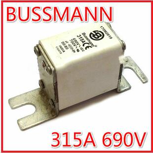 2620 170M2671 2621 2670 BUSSMANN熔断器 170M2669 170M2619