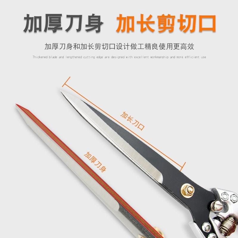 兔毛剪刀剪剪羊毛美容手动马鬃剪剪子羊毛剪牛毛宠物新款羊毛