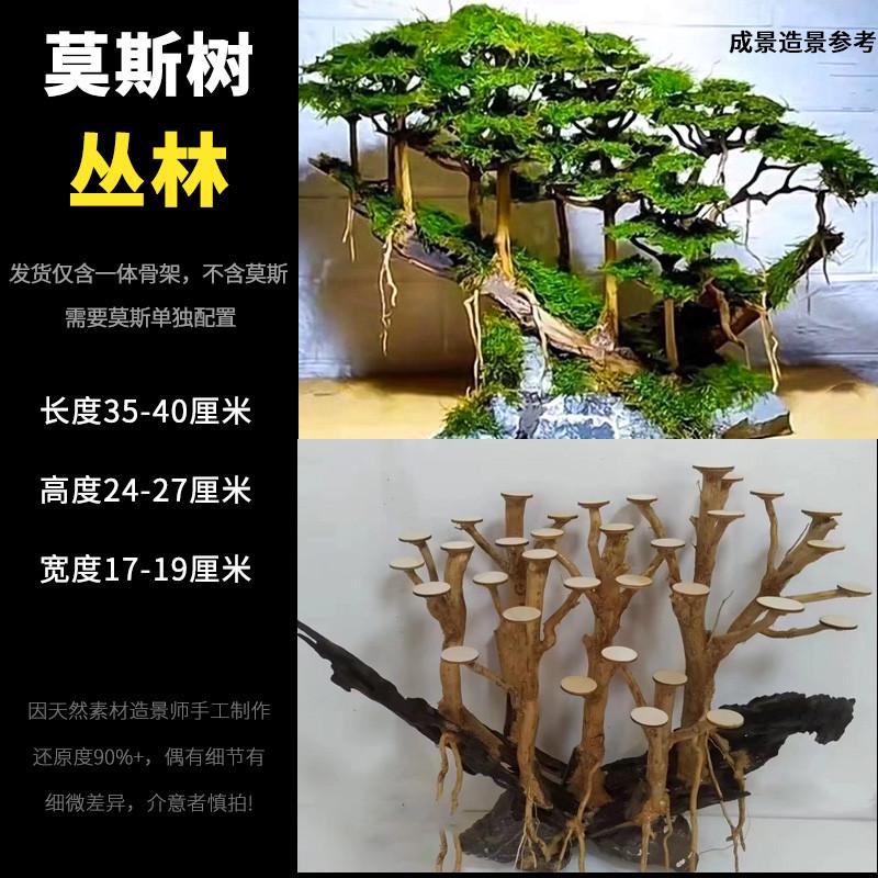 成品莫斯树骨架鱼缸造景沉木杜鹃根青龙石迎客松树根摆件草缸装饰