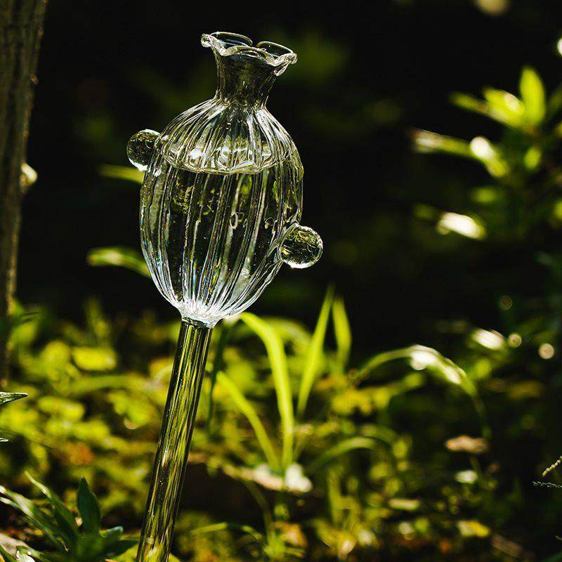 透明玻璃懒人浇花养花渗水滴灌家用绿植盆栽自动浇花器园艺工具,鲜花速递/花卉仿真/绿植园艺,园艺用品套装,淘宝优惠券,粉丝福利购,淘宝优惠卷