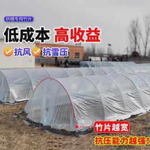 竹片菜棚搭棚子支架竹片竹坯子种菜简易小拱棚菜园蔬菜棚拱杆拱形