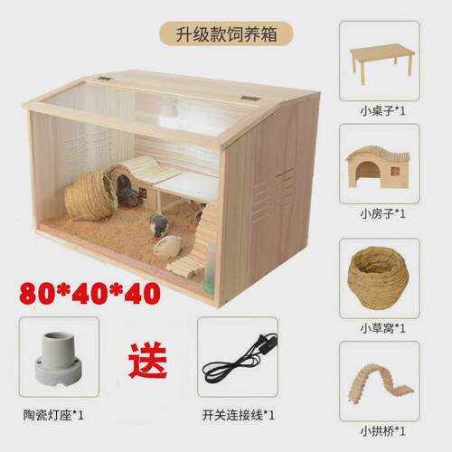 芦丁鸡饲养箱箱饲养笼鸡窝全套造景房子保温箱笼子仓鼠育雏宠物