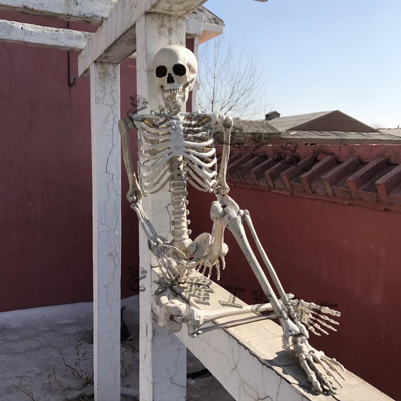 ktvcos仿真人体塑料骷髅骨架密室鬼屋万圣节酒吧装饰布景道具摆件