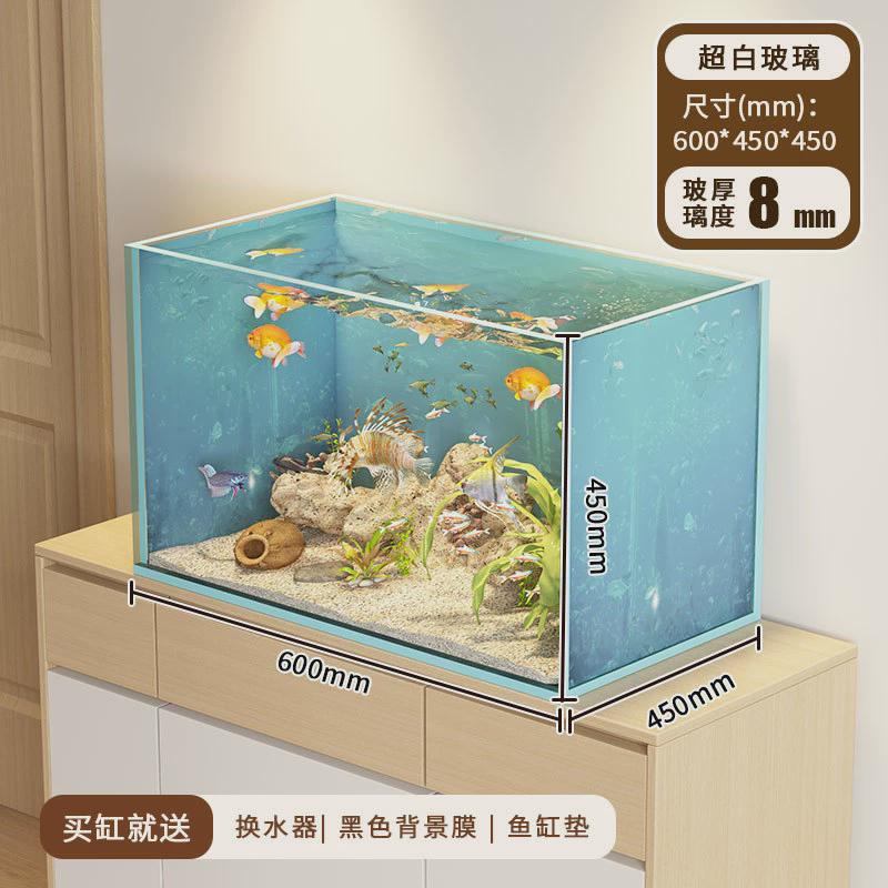 水陆两栖鱼缸小型缸超白缸金晶玻璃生态微景观雨林缸乌龟造景缸新