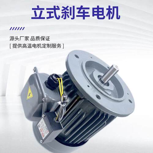 热销厂家批台款铸铁电磁制动刹车电机电镀超声波清洗设备减速刹车