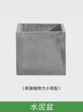 仿真大型假绿植落地造景家居装饰摆设盆栽仿真植物散尾葵盆栽批发