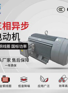 6极ye3-355m1/m2/l-6电动机160/200/220/280kw千瓦三相异步电机