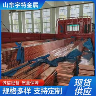 加工紫铜排镀锡铜排铜箔配电柜排接地铜排母线镀锡t2紫铜排扁条