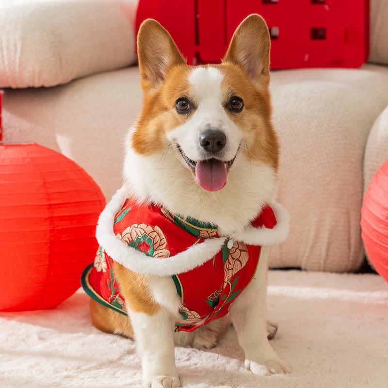 柯基犬专属狗狗衣服冬季加厚喜庆新年马甲法斗柴犬中型犬冬天棉衣