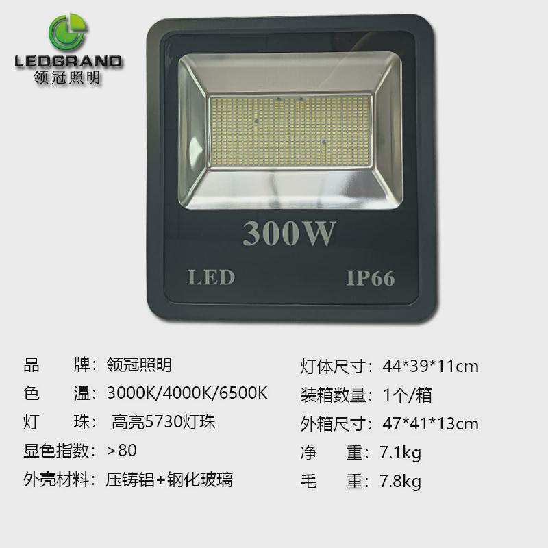 户外泛光灯一体室内外照明庭院灯高亮广场投光灯球场功率高杆足灯