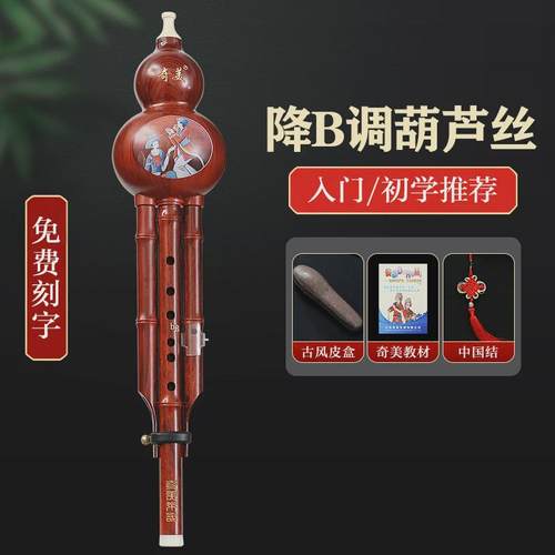 奇美葫芦丝乐器初学者c调降b调儿童专业演奏防摔胡专用丝小学生芦
