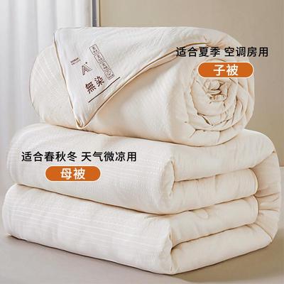 定制a加厚保暖大豆纤维被子母被冬被类被子冬天棉被学生春秋被芯