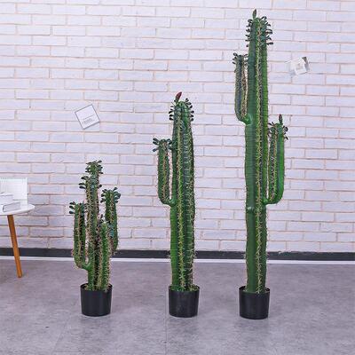 现货仿真仙人柱仙人掌大型绿植盆栽室内橱窗装饰摆件造景落地塑料