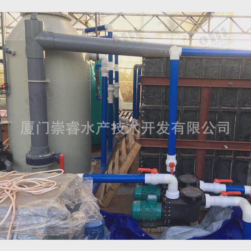 海南工厂化循环水鳗鱼项目水处理系统养殖循环水养殖系统