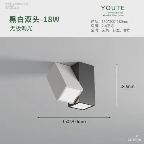 网红过道灯走廊灯2024年新款led吸顶灯简约现代衣帽间入户玄关灯