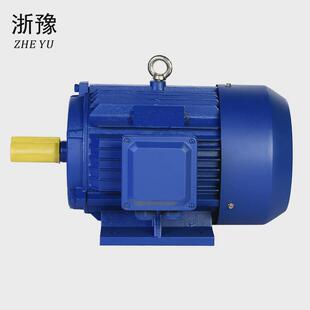 厂家直销三相异步电机ye3 43kw高散热低噪音全铜马达 100l2