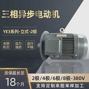 河北销售厂家大量电机ye3 90kw三相异步电机 2极2.2