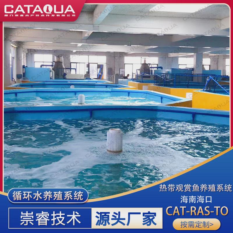 崇睿海南系统热带观赏鱼循环水养殖基地ras工厂化养殖海口