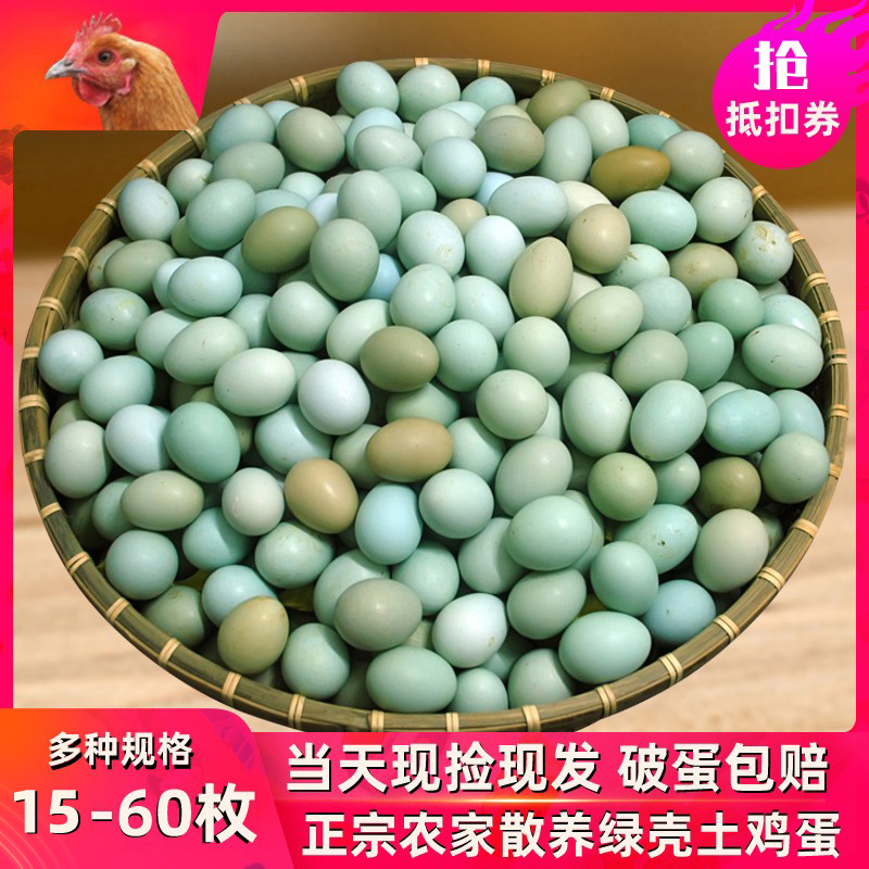 绿壳山鸡蛋60枚新鲜乌鸡蛋40枚正宗农家散养土鸡蛋15枚农村柴鸡蛋-封面