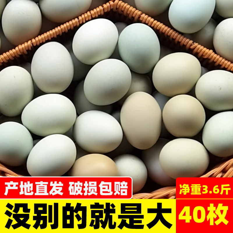 知楚低胆固醇高营养绿壳蛋40枚