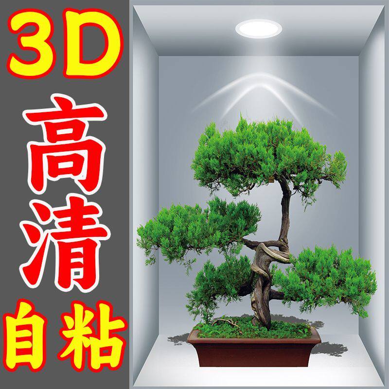 3D效果盆栽贴画过道楼梯