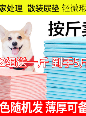 宠物一次性尿垫加厚狗狗垫子睡垫一次性宠物垫尿片猫超强防尿吸水