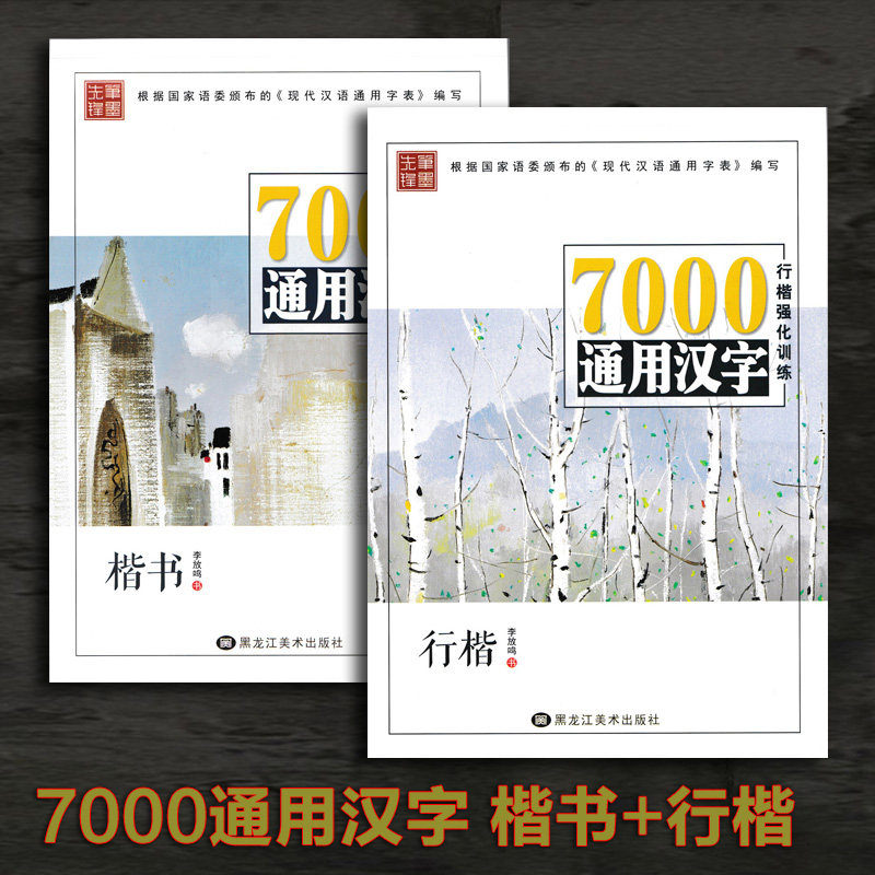 7000通用汉字楷书 行楷共2本钢笔硬笔字帖李放鸣书法少儿成人公务分