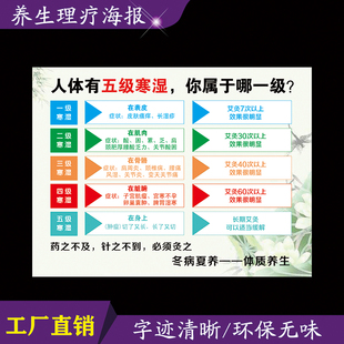 寒湿体质等级辨别中医养生排毒 拍寒 排湿广告 墙贴画 海报 挂画