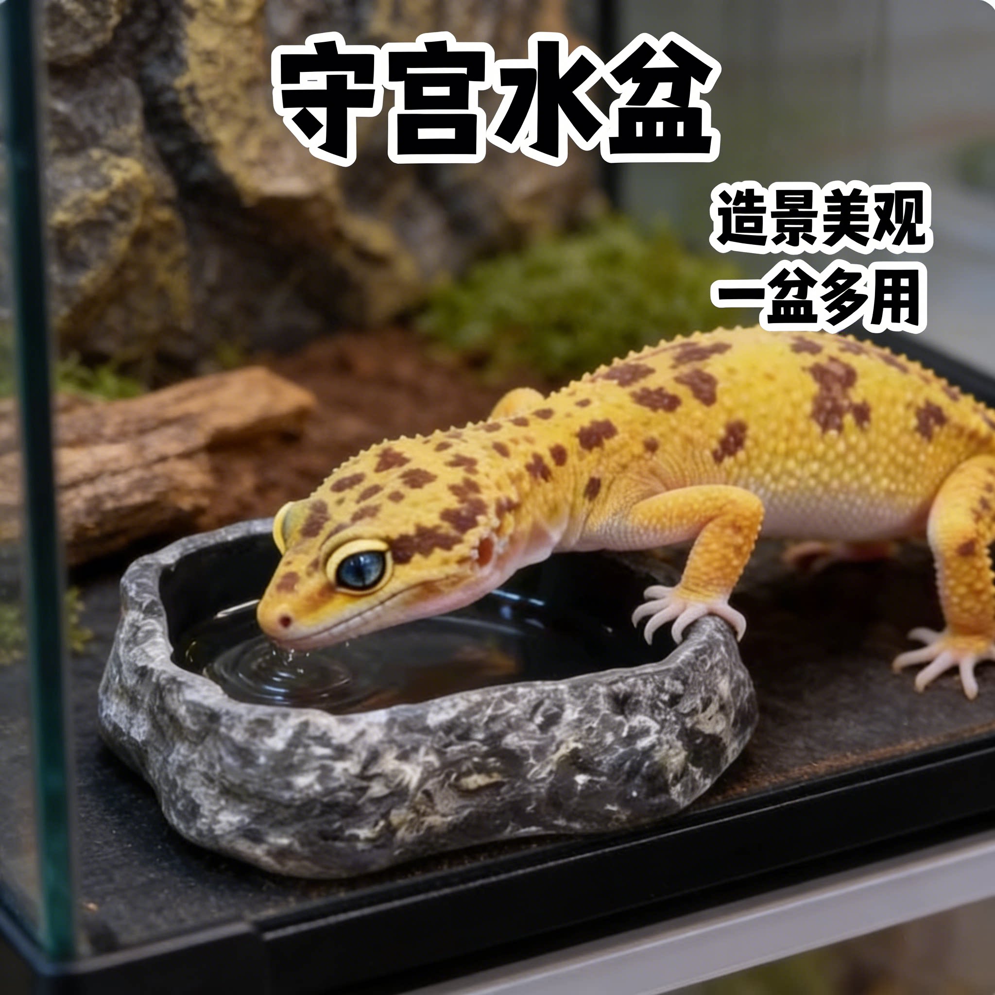 守宫水盆食盆睫角豹纹蜥蜴专用仿真树桩杯爬宠饲养箱造景装饰用品