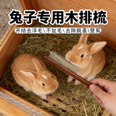 兔子专用木排梳清洁除蚤不扯毛发