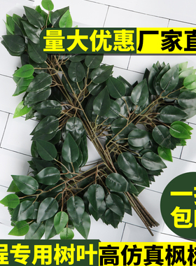 仿真榕树叶过胶装饰假塑料绿色假树叶榕树枝仿真还原度高仿树叶
