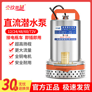 48V家用电瓶车抽水泵小型电动农用户外浇菜神器 直流潜水泵12V24V