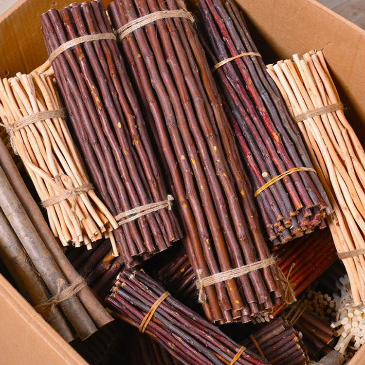 树枝材料松果环创装饰天然diy手工幼儿园摆件细小木棍木头条造景