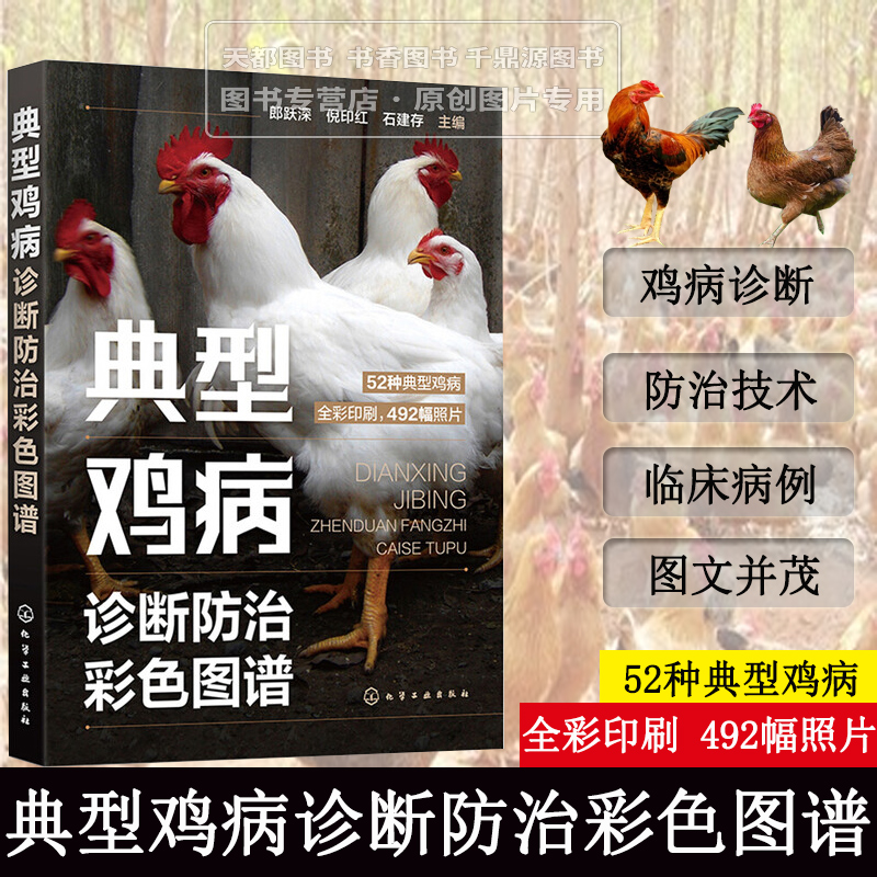 典型鸡病诊断防治彩色图谱 鸡病防治安全用药常见传染病鉴别 鸡病鉴别诊断图谱 鸡病类症鉴别诊治彩色图谱 兽医手册 养鸡技术大全