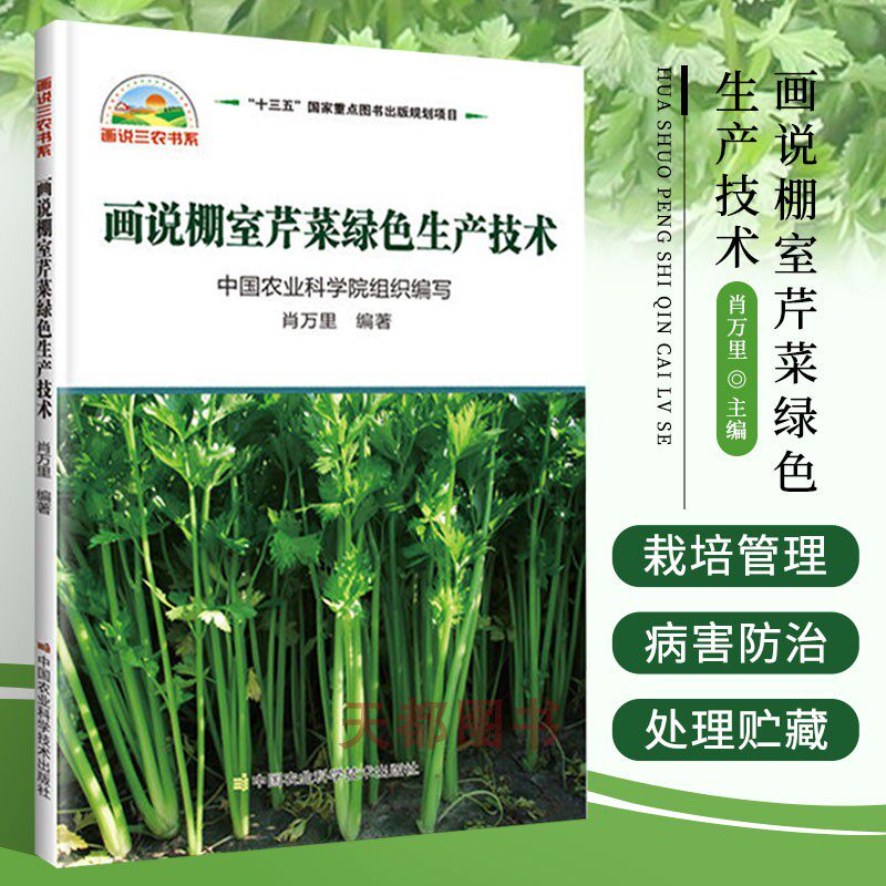 画说棚室芹菜绿色生产技术种菜书籍大全大棚蔬菜种植技术大全蔬菜种植书籍大全蔬菜病虫害防治蔬菜病虫害诊断与防治农业书籍