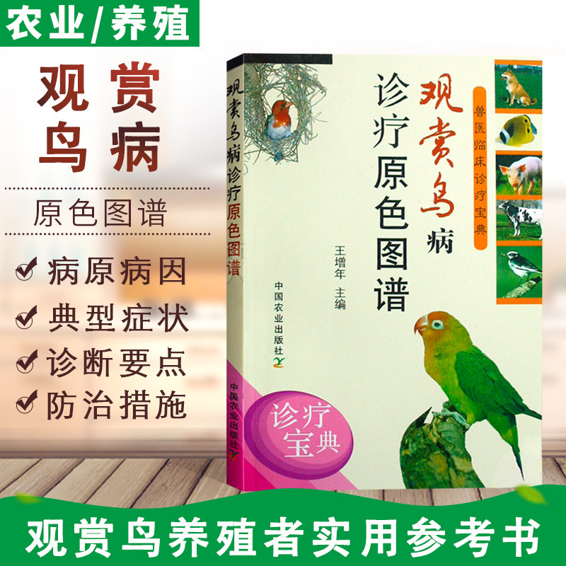 正版 观赏鸟病诊疗原色图谱 笼养鸟驯养技法与疾病防治观赏鸟养殖书籍笼养鸟养殖笼养鸟疾病诊断与防治技术大全书籍笼养鸟饲养书籍